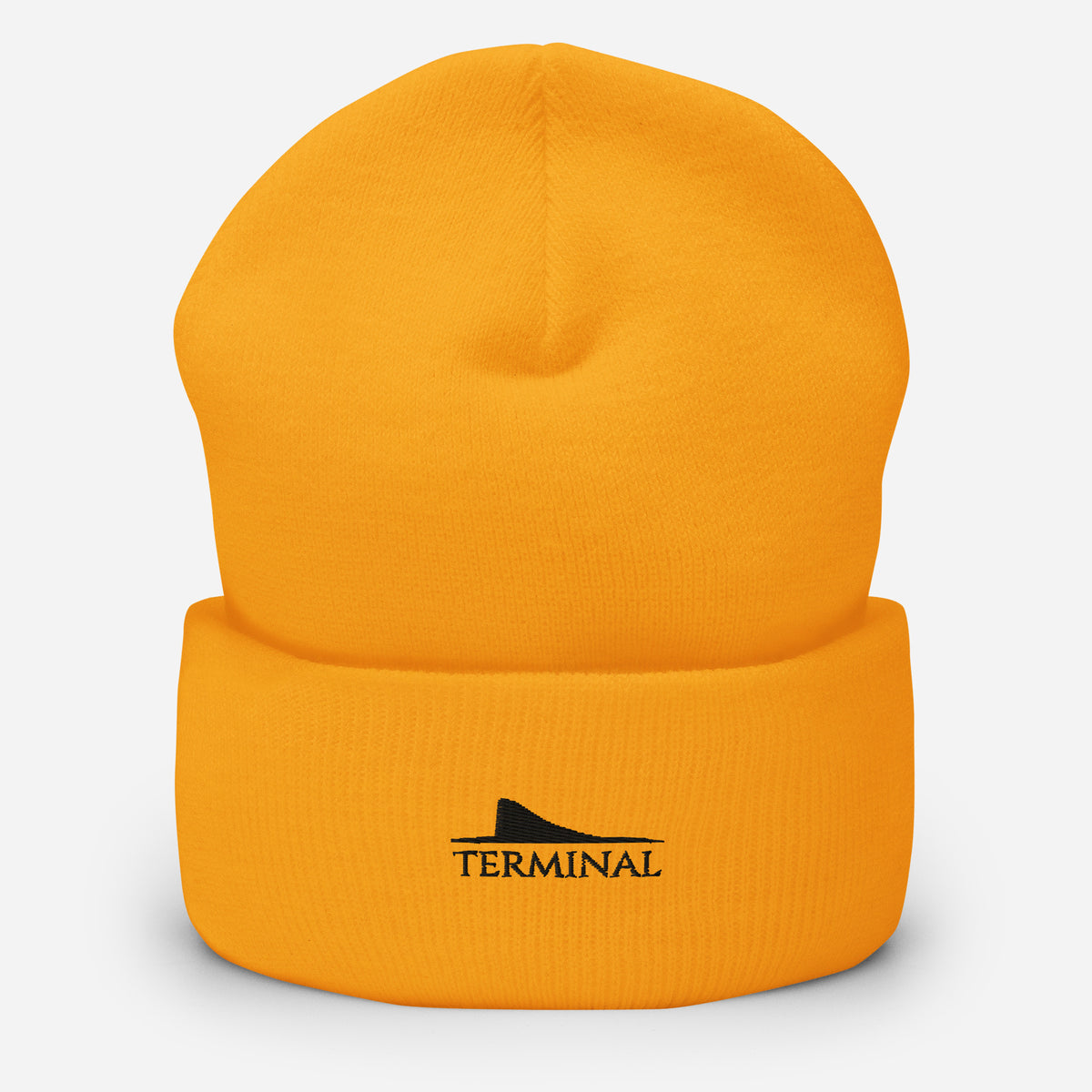 Terminal's Cuffed Beanie