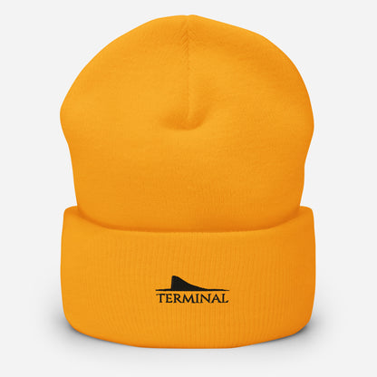 Terminal's Cuffed Beanie